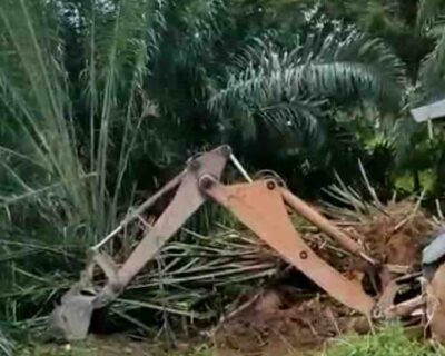 Starting of Land Clearance in Pagoh