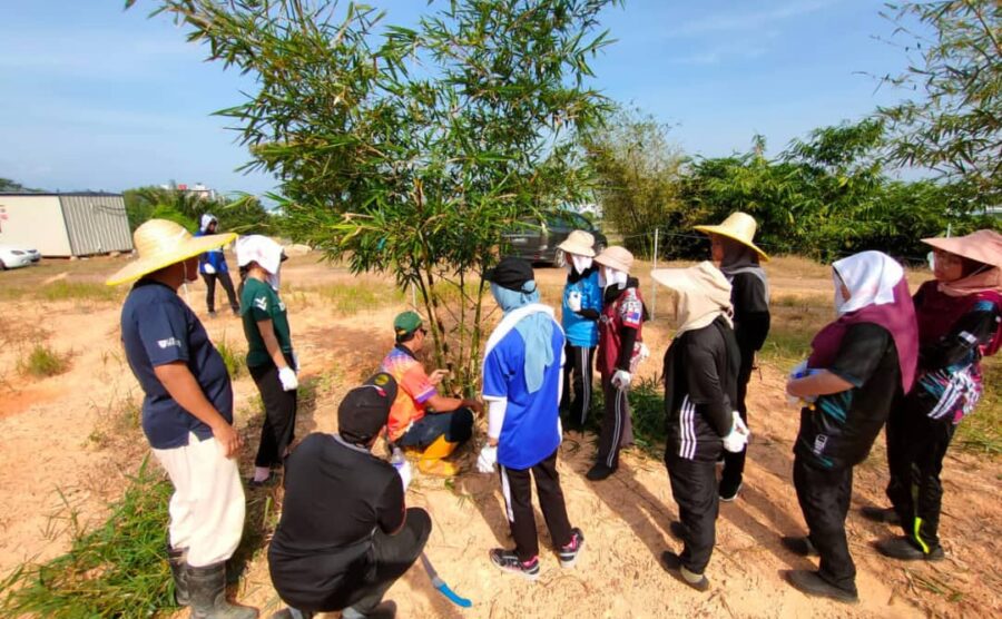 UTHM bamboo pilot