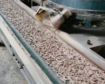 Pellet plant